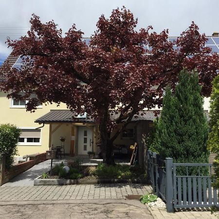 Apartmentvermietung Ingrid Bolkart - Landleben 6 Illertissen Exterior foto